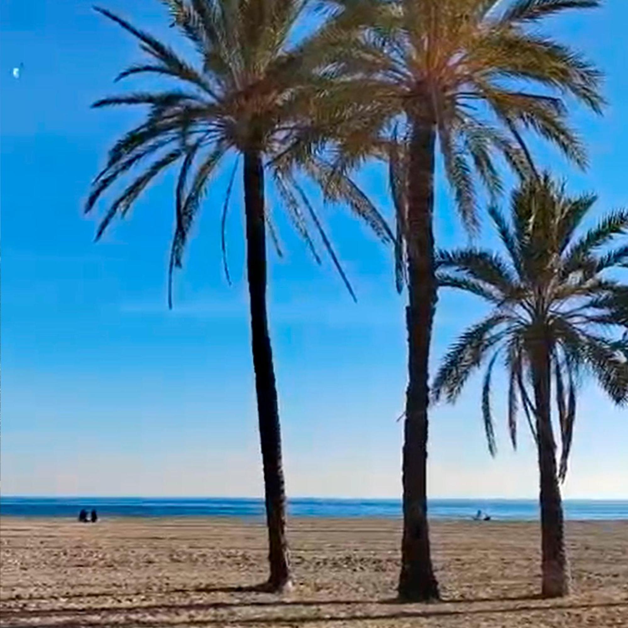 Apartamento Santa Pola Primera Linea De Playa מראה חיצוני תמונה